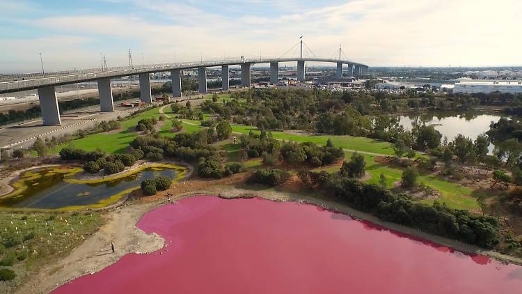 The Pink Lakes Of Australia - Why They're Pink and Where To Find Them